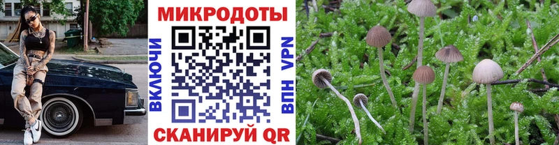 Купить где  Жигулёвск  Галлюциногенные грибы Psilocybine cubensis 