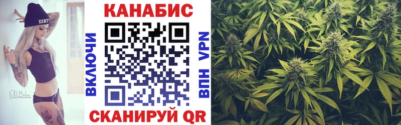 Купить где  Жигулёвск  Каннабис ГИДРОПОН 